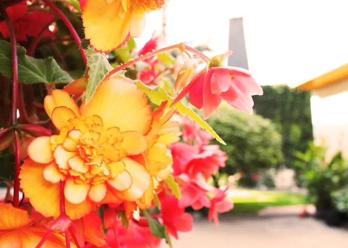 Гостевой дом Landgasthof Kanz